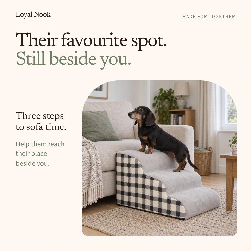 Their favourite spot, still beside you: a three-step route to sofa time